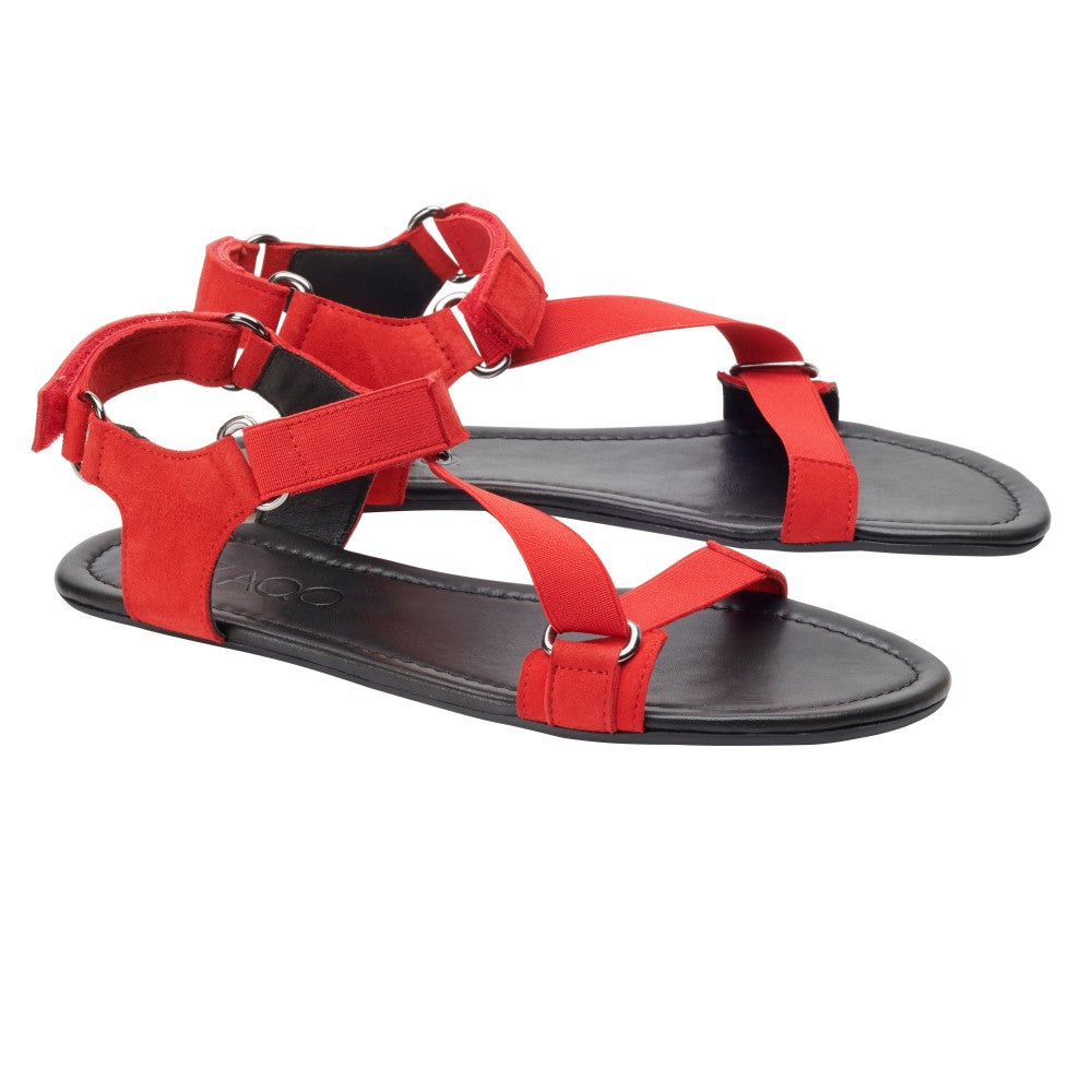 Ein Paar leuchtend rote MIQA Red Sandalen von ZAQQ, mit schwarzen Sohlen und einem Riemchensystem aus verstellbaren Riemen mit Metallschnallen und Ringen. Diese Barfußsandale im Gladiator-Stil kommen auf einem schlichten weißen Hintergrund elegant zur Geltung.