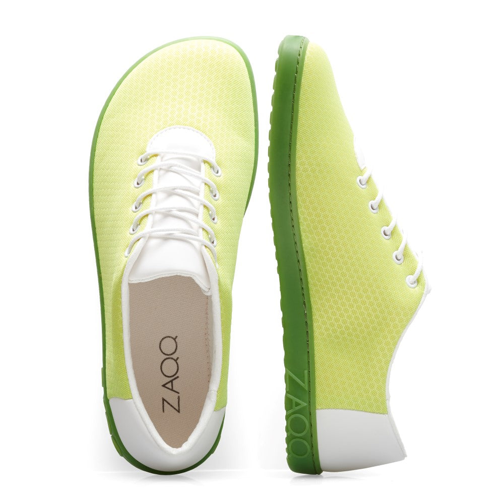 Qaro Light Green